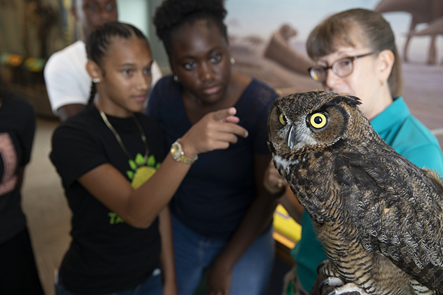 educator with owl